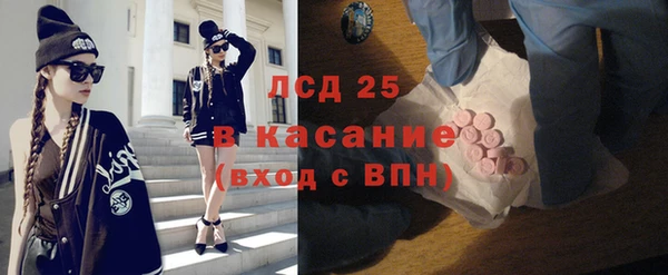 гашик Белокуриха