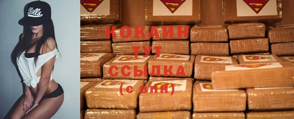 винт Сатка