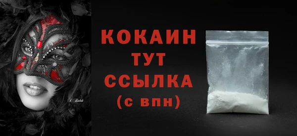 mix Богородицк