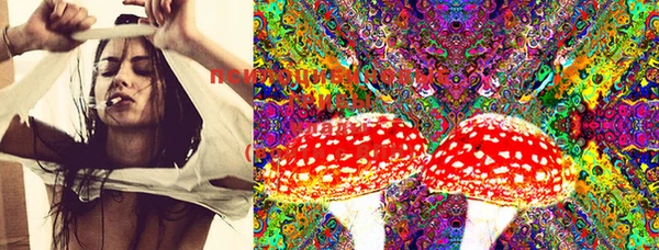 mdma Богородск